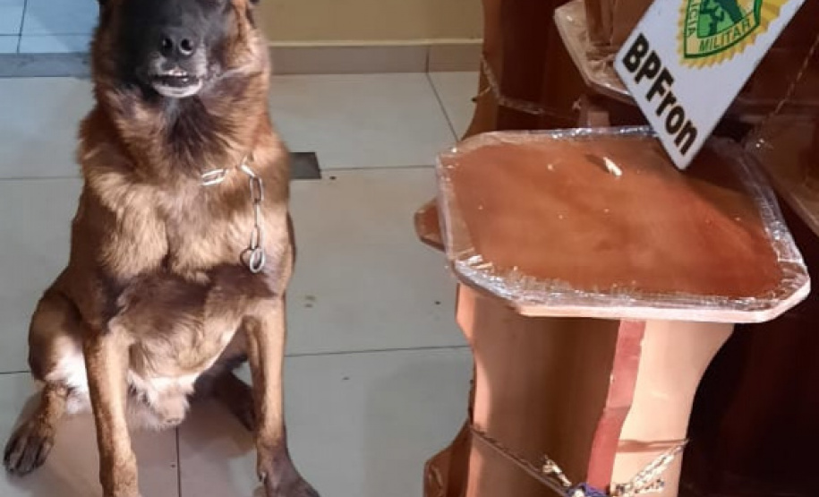 BPFron apreende mais de 42 quilos de maconha em Cascavel (PR) e evita que a droga chegue ao Rio de Janeiro