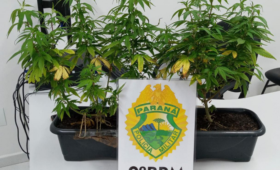 Em Paranaguá, PM prende dupla por envolvimento com tráfico de drogas