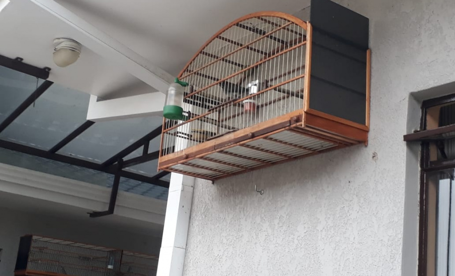 Com Operação Asas Livres, Polícia Ambiental resgata 391 aves silvestres e aplica R$ 390,5 mil em multas no Paraná