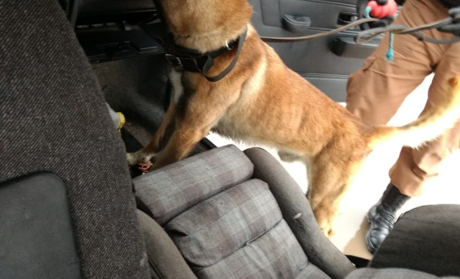 Operação do BPGd em Piraquara resulta em três prisões e um veículo recuperado