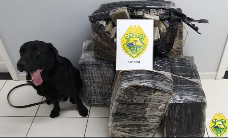 Durante o fim de semana, PM de Guarapuava apreende mais de 300 quilos de drogas