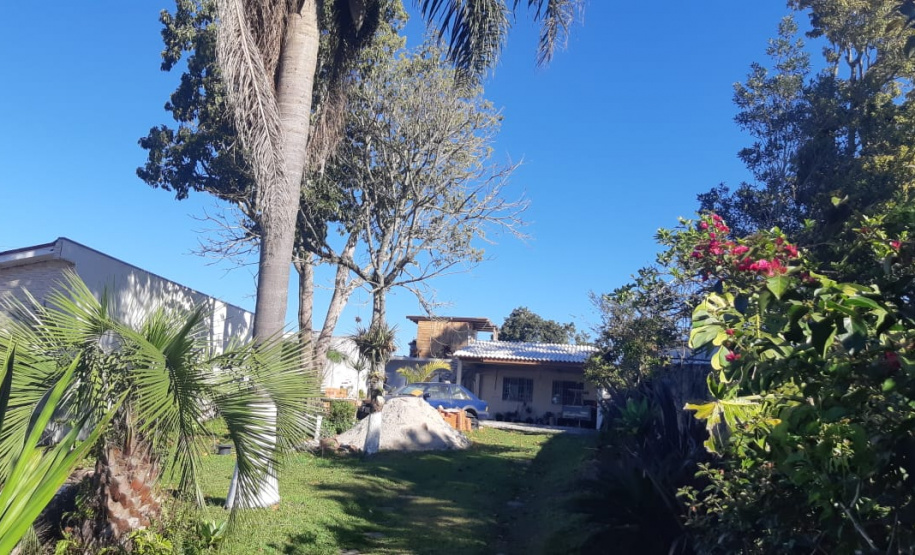 Ação integrada resgata onça-parda encontrada em área residencial de São José dos Pinhais, na RMC