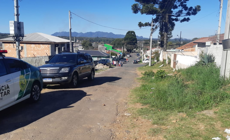 Ação integrada resgata onça-parda encontrada em área residencial de São José dos Pinhais, na RMC