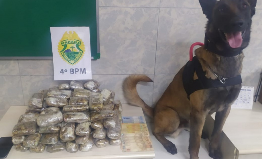 Em Maringá (PR), PM apreende quase 12 quilos de haxixe e 1,5 mil comprimidos de ecstasy