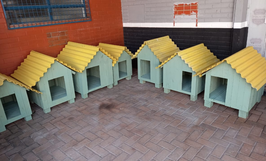 Projeto Pipoca: Detentos produzem materiais para animais de rua, na Cadeia Pública de Toledo (PR)