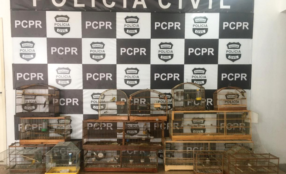 Polícia Civil prende suspeitos de homicídio e apreende aves silvestres em Araucária