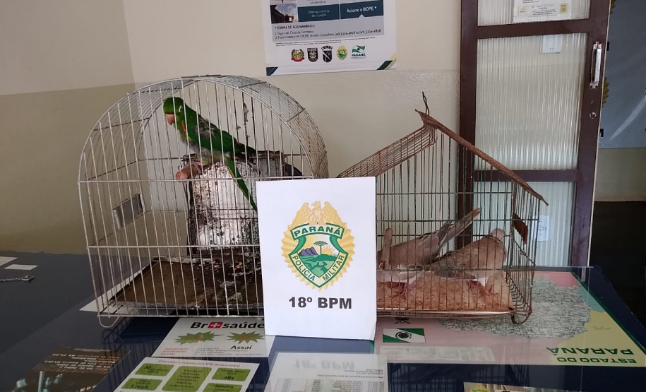 No Norte do estado, PM prende dois homens e apreende um revólver e três aves após denúncia