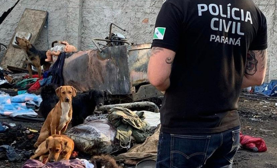 Polícia Civil resgata aproximadamente 20 cães de casa incendiada em Curitiba