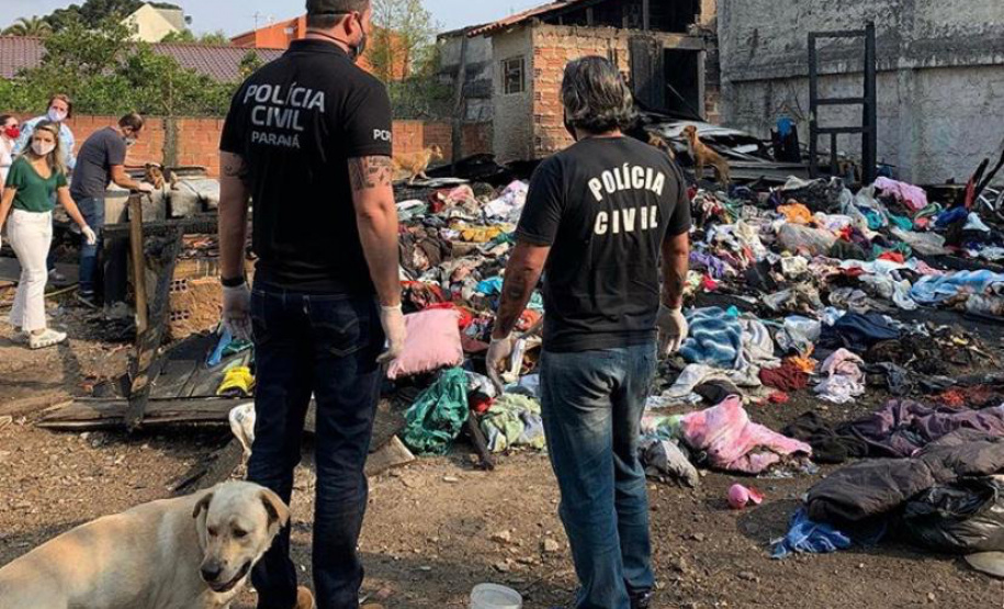 Polícia Civil resgata aproximadamente 20 cães de casa incendiada em Curitiba