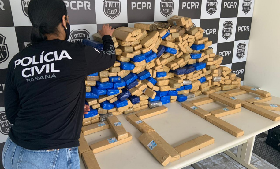 PCPR apreende 208 quilos de maconha em Palmeira