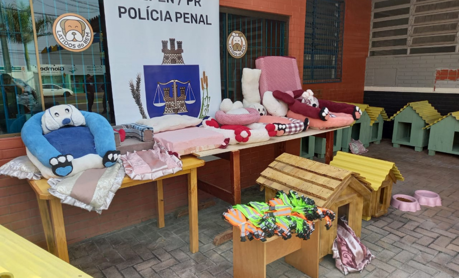 Projeto Pipoca: Detentos produzem materiais para animais de rua, na Cadeia Pública de Toledo (PR)