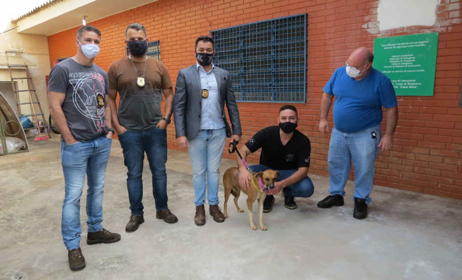 Projeto Pipoca: Detentos produzem materiais para animais de rua, na Cadeia Pública de Toledo (PR)