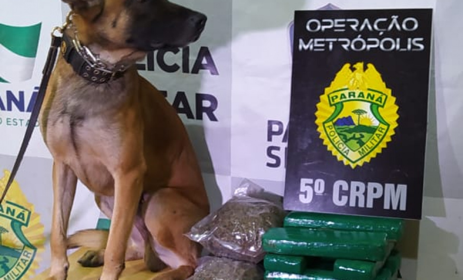 PM encerra segunda edição da Megaoperação Metrópolis com 1,8 toneladas de drogas apreendidas e 255 detidos