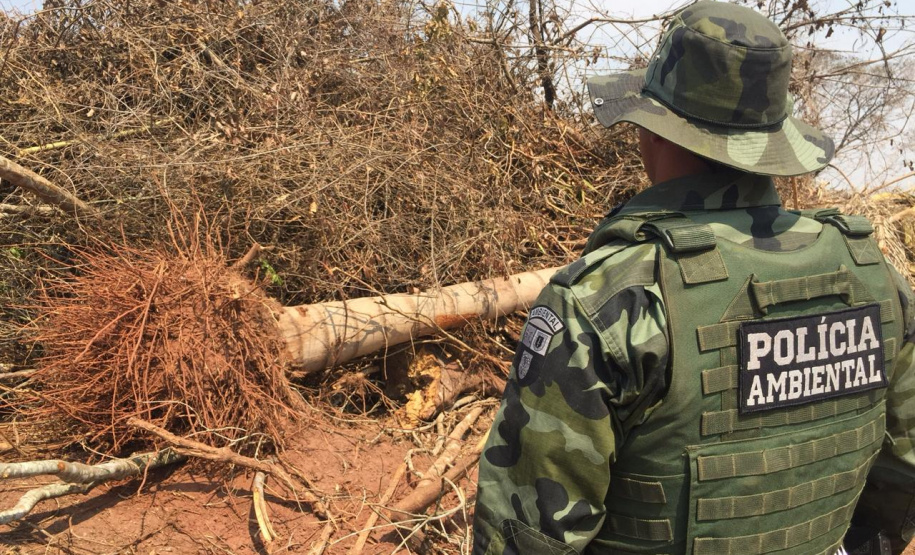 Denúncia leva Polícia Ambiental à aplicar R$ 80 mil em multas por desmatamento em Iporã