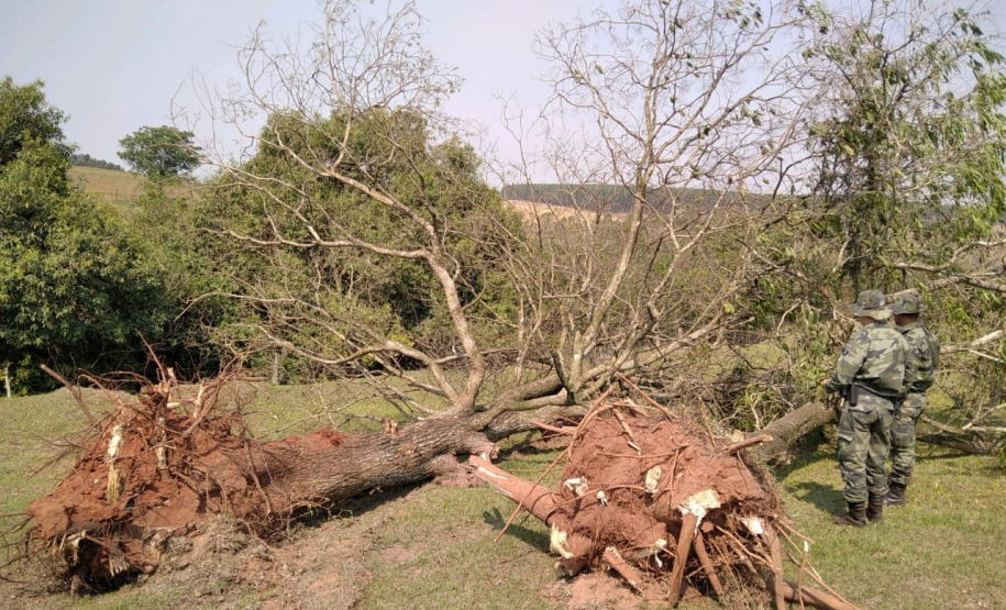 Denúncia leva Polícia Ambiental à aplicar R$ 80 mil em multas por desmatamento em Iporã
