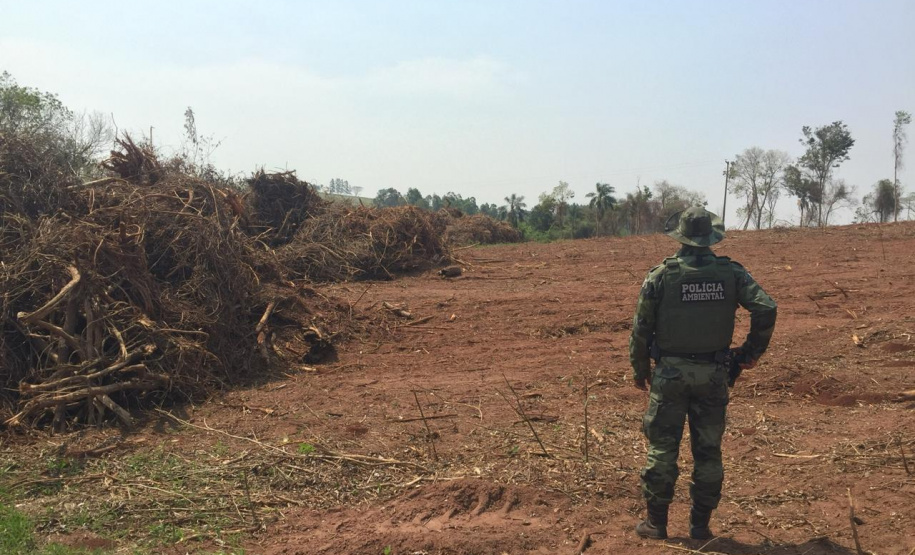 Denúncia leva Polícia Ambiental à aplicar R$ 80 mil em multas por desmatamento em Iporã