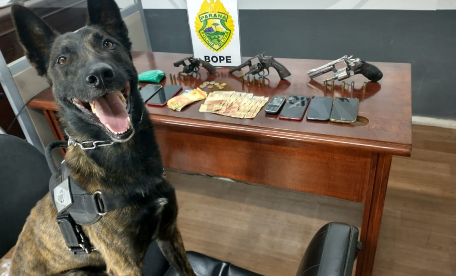 Equipes do BOPE apreendem quase 40 quilos de maconha e três armas de fogo na Capital e Interior do estado