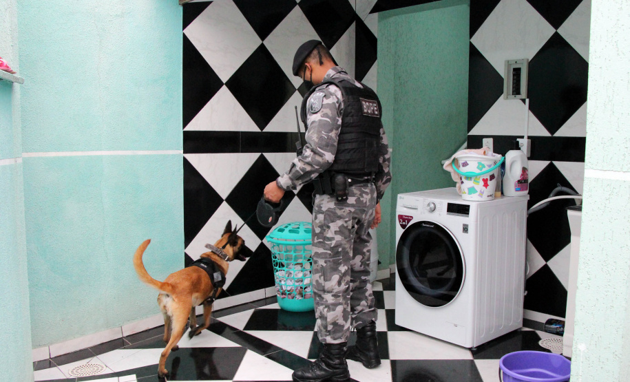 Polícias Civil e Militar prendem 15 envolvidos com tráfico de drogas