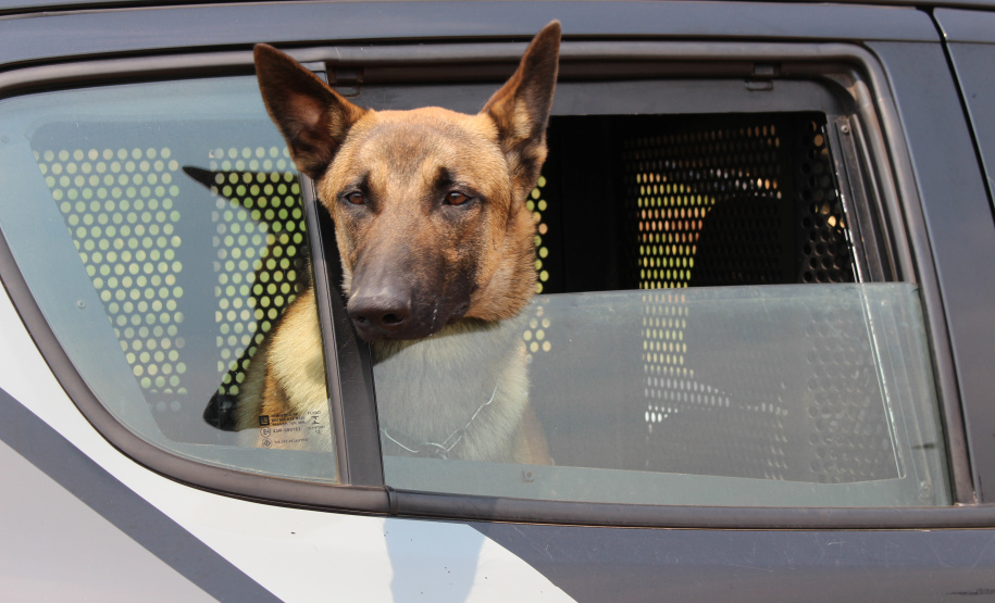 Megaoperação Divisas Integradas resultou em quase mil pessoas presas e 41,6 mil veículos vistoriados nas divisas do Paraná com São Paulo