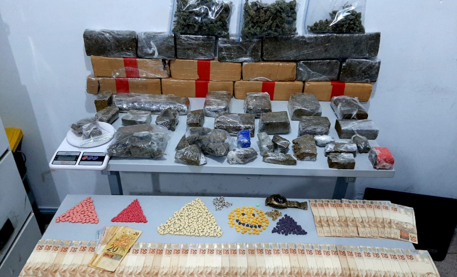 Denúncia auxilia PM a apreender 58 pés de maconha na RMC