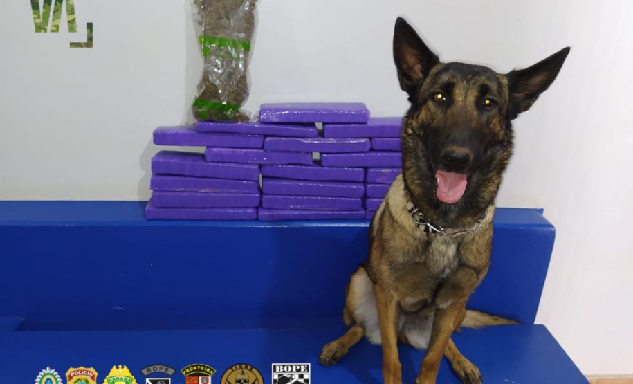 Após denúncia, BPFron e Exército Brasileiro apreendem 20 tabletes de maconha e pacote de murruga no Oeste do estado