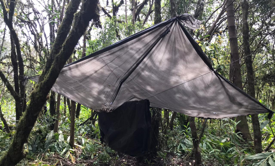 No final de semana, BPAmb-FV apreende arma de fogo, 800 caixas de cigarros contrabandeados e galos de rinha em situações distintas