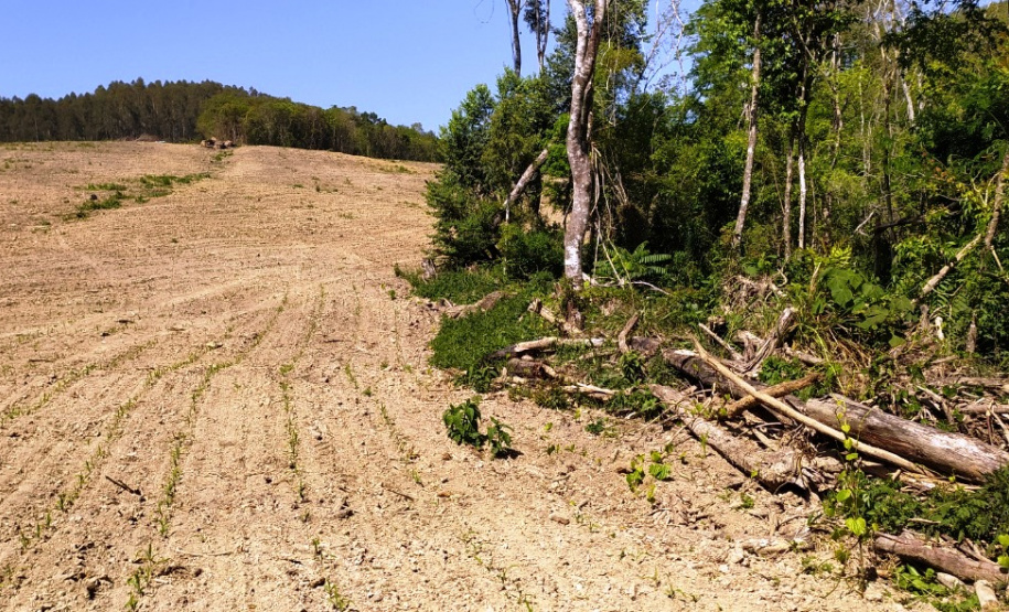 Multas por crimes ambientais somam R$ 2,5 milhões em oito dias