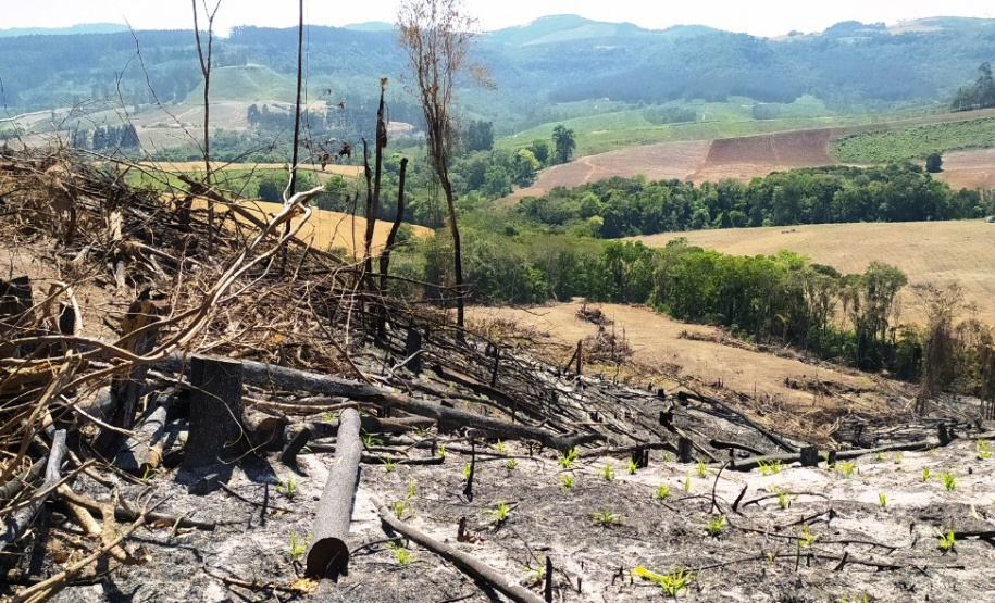 Multas por crimes ambientais somam R$ 2,5 milhões em oito dias
