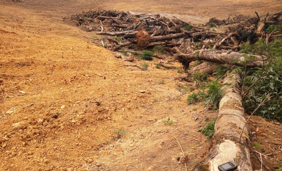 Multas por crimes ambientais somam R$ 2,5 milhões em oito dias