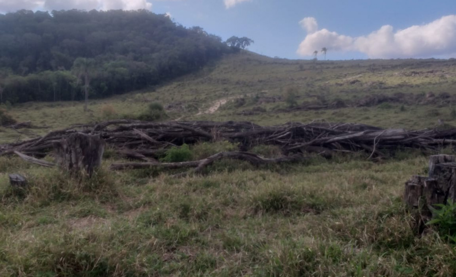 Multas por crimes ambientais somam R$ 2,5 milhões em oito dias