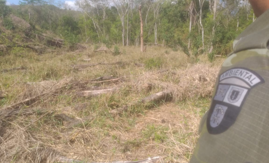 Multas por crimes ambientais somam R$ 2,5 milhões em oito dias