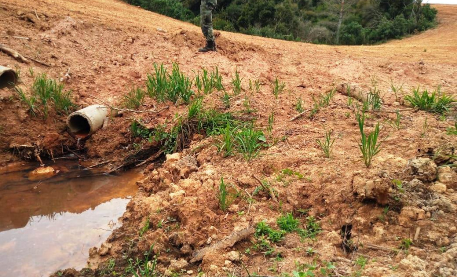 Multas por crimes ambientais somam R$ 2,5 milhões em oito dias