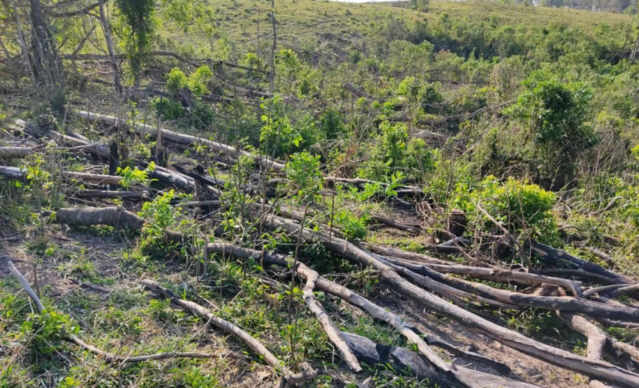 Multas por crimes ambientais somam R$ 2,5 milhões em oito dias