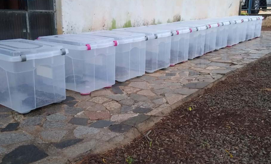 Polícia ambiental prendeu 231 pessoas e resgatou mais de 2 mil aves