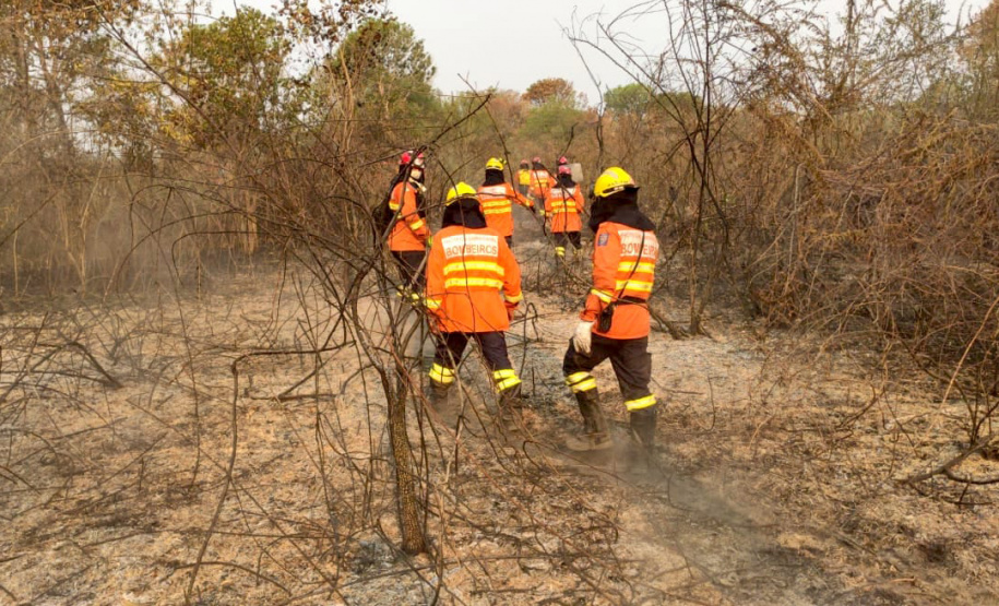 Bombeiros do Paraná completam dez dias de combate a incêndios no Pantanal