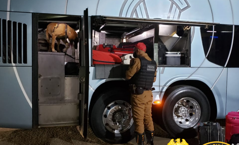 BPRv apreende mais de 50 quilos de maconha e um revólver em situações distintas