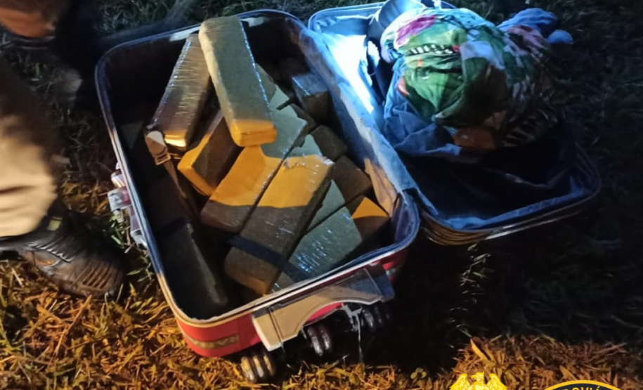 No Norte do estado, Canil do BPRv apreende mais de 15 quilos de maconha em ônibus