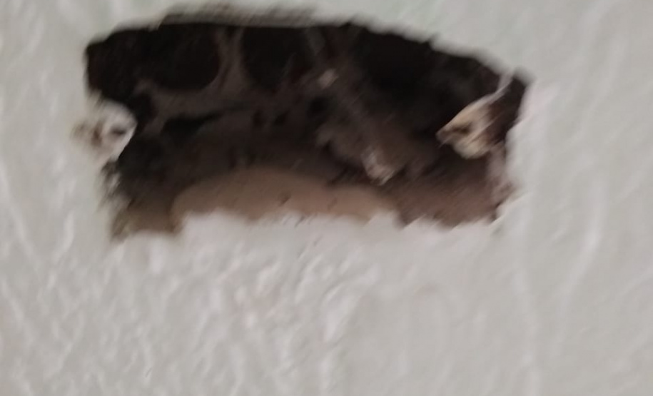 Cadeia Pública de Rio Branco do Sul passa por modernização e revitalização