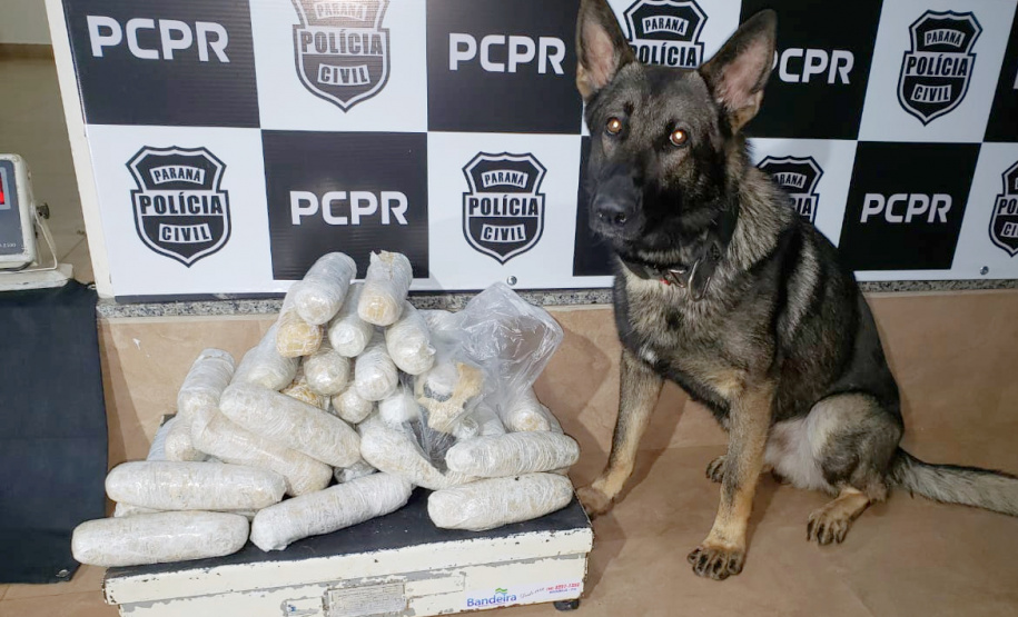 PCPR, PRF e PMPR apreendem 85 quilos de crack e 19 quilos de cocaína em Cruzeiro do Oeste