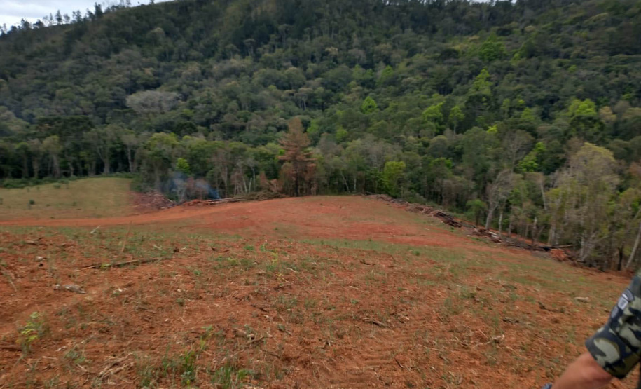 Operação Mata Atlântica em Pé aplica R$ 7,8 milhões em multas