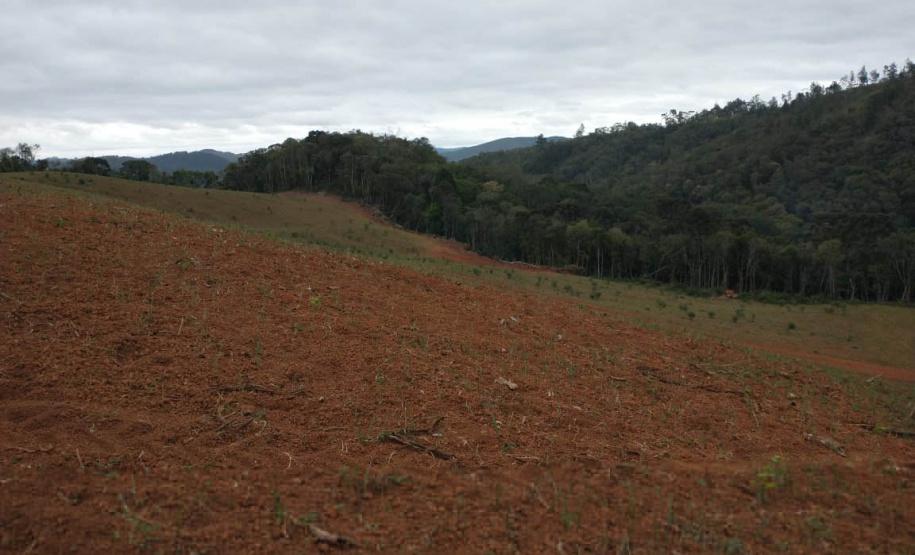 Operação Mata Atlântica em Pé aplica R$ 7,8 milhões em multas