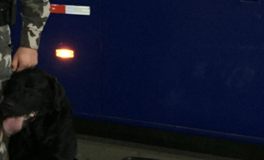 Mulher que levava 19,3 quilos de maconha dentro de ônibus de viagem é presa pela PM em Guarapuava