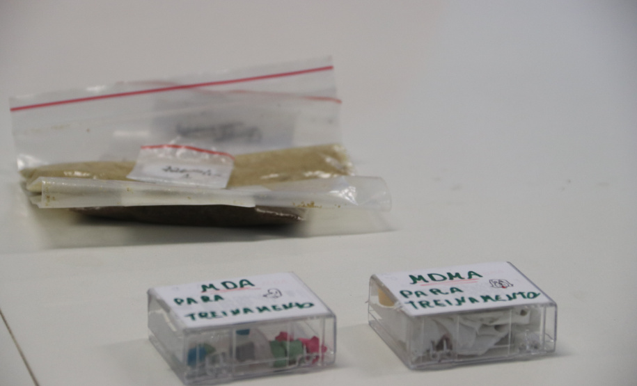 Polícia Científica e BOPE treinam cães de faro para encontrar novas drogas