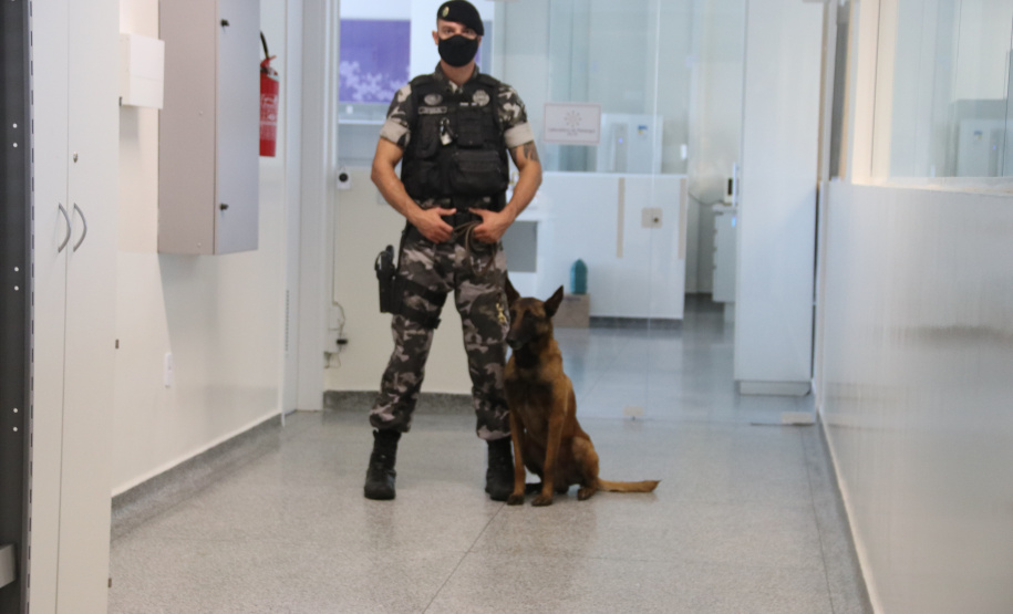 Polícia Científica e BOPE treinam cães de faro para encontrar novas drogas