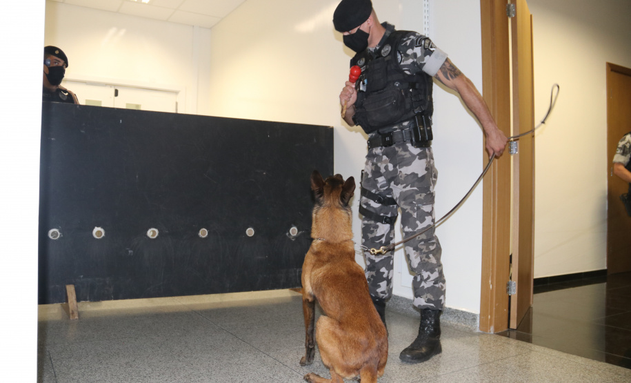 Polícia Científica e BOPE treinam cães de faro para encontrar novas drogas