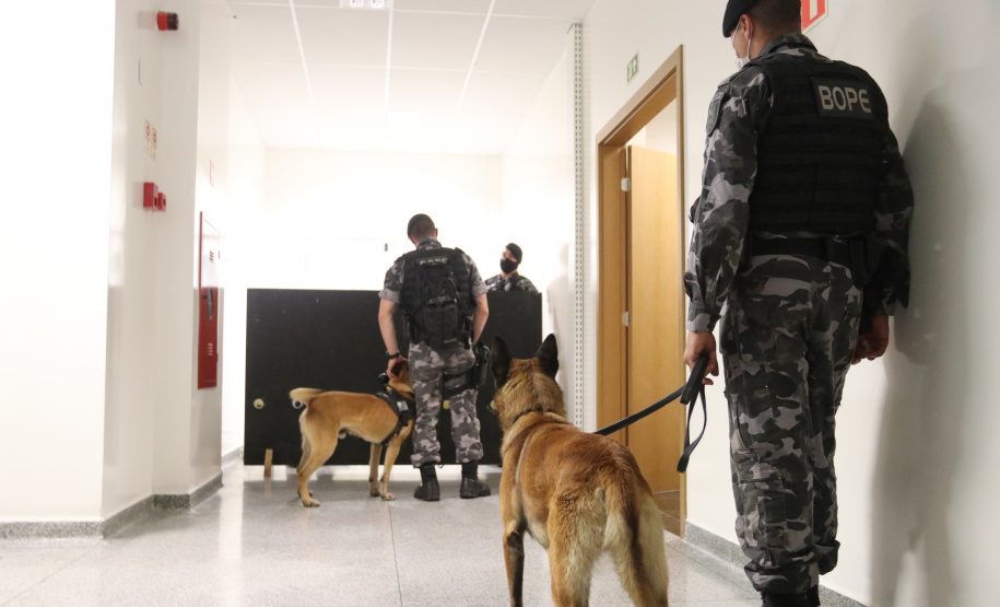 Polícia Científica e BOPE treinam cães de faro para encontrar novas drogas