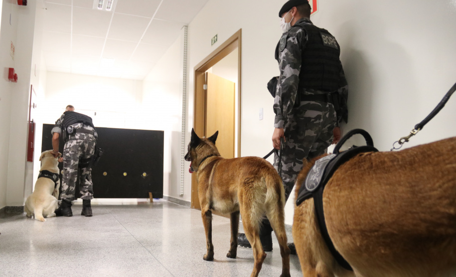 Polícia Científica e BOPE treinam cães de faro para encontrar novas drogas