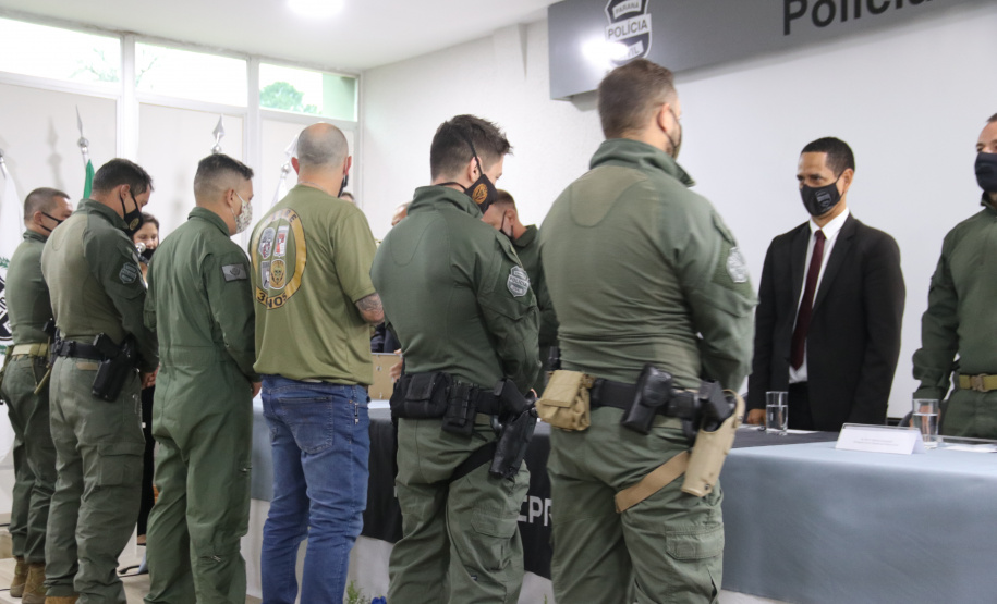 Grupo Tigre completa 30 anos como referência no Brasil