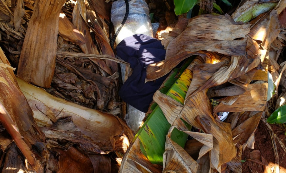 Agentes penitenciários do sudoeste impedem entrada de 1,2 quilos de maconha, celulares e outros ilícitos em unidade penal