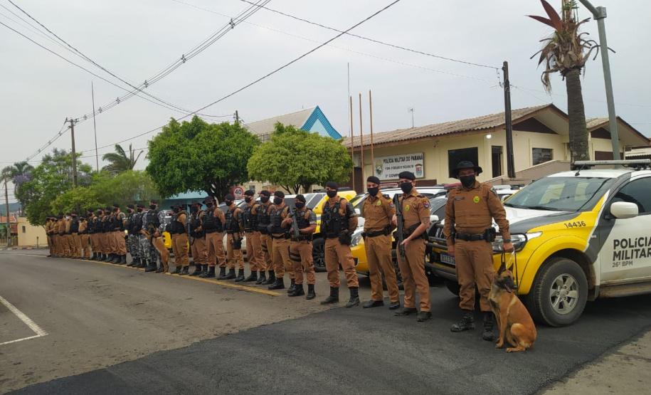 Operação Ogro Guaraní apreende 200 mudas de maconha e duas armas de fogo nos Campos Gerais